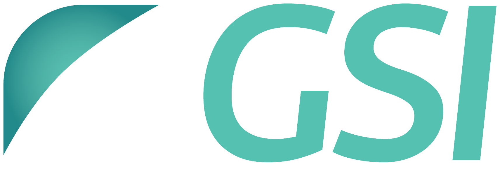 GSI Logo White